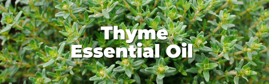 5. Thyme Essential Oil: