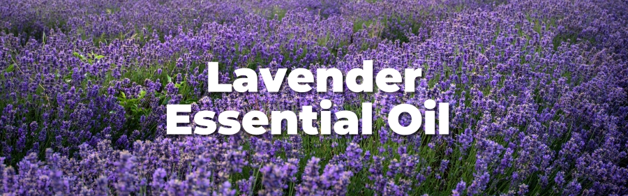 3. Lavender Essential Oil