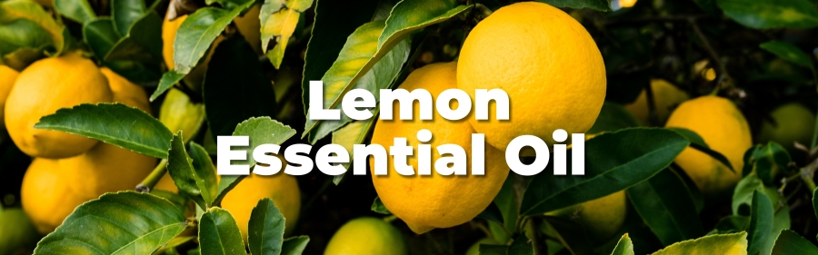 1. Lemon Essential Oil