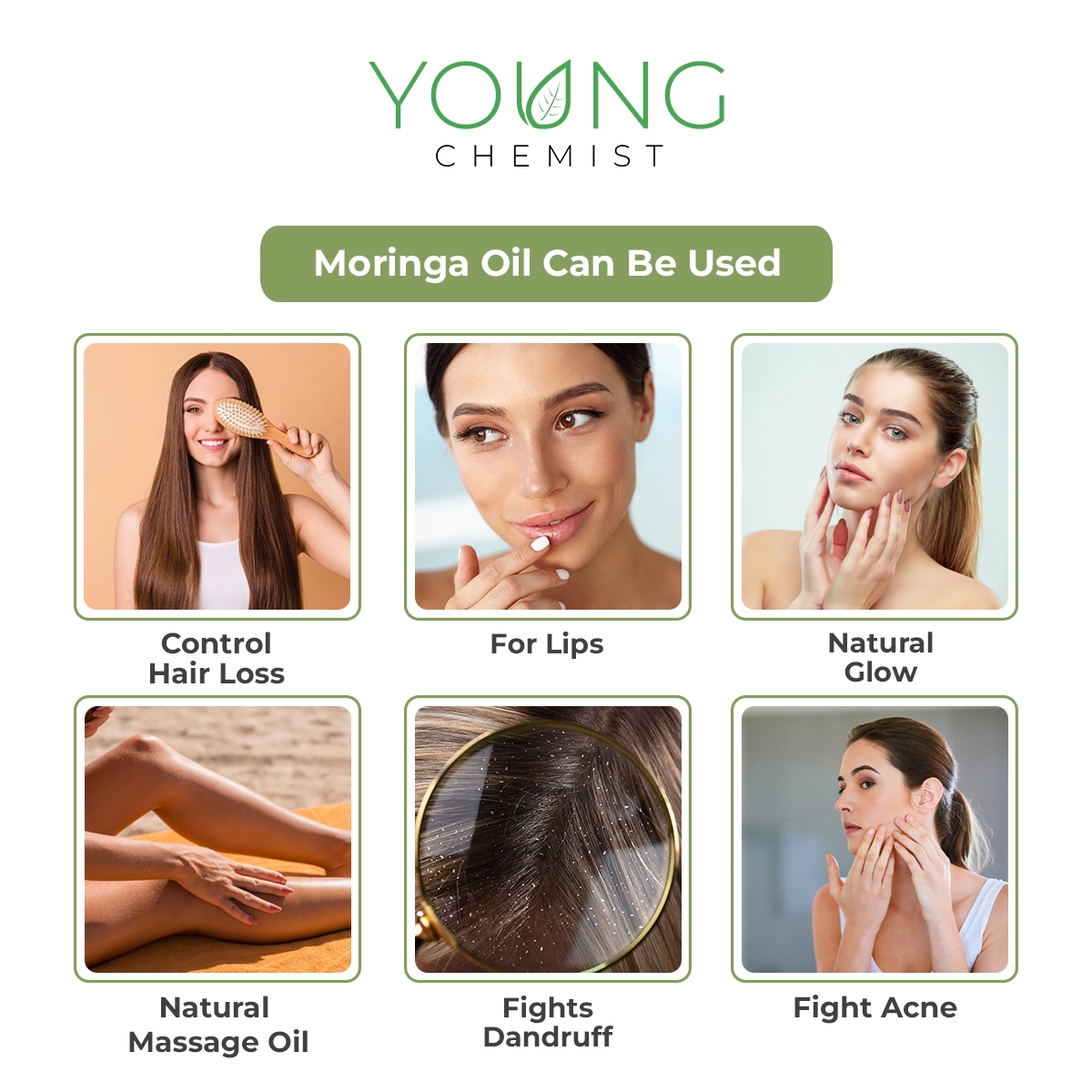 moringa oil-moringa hair oil-moringa oil price-moringa oil benefits